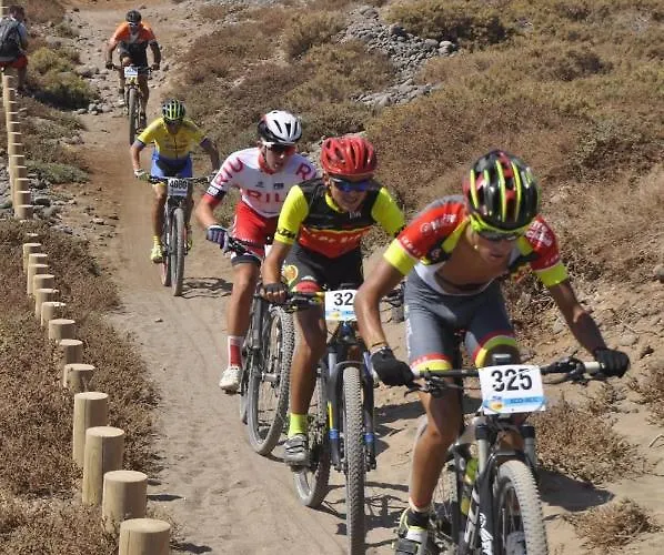 Wild House Casa de Férias *