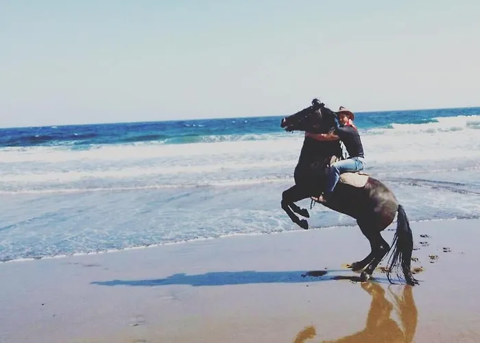 Wild House * לאס פאלמס דה גראן קנאריה