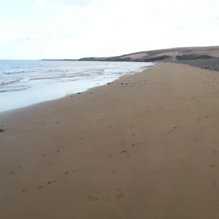 Wild House Лас-Пальмас-де-Гран-Канария