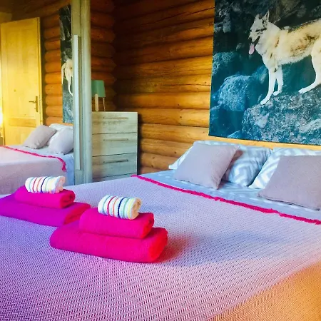 Wild House Casa vacanze Las Palmas de Gran Canaria