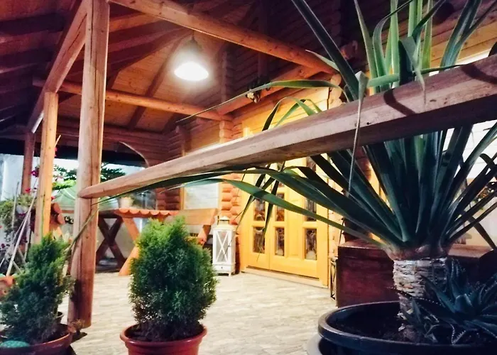 Wild House Las Palmas