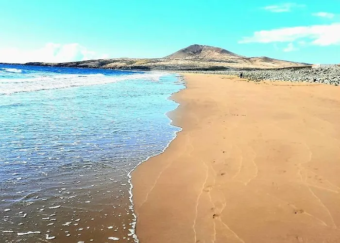 Wild House Holiday home