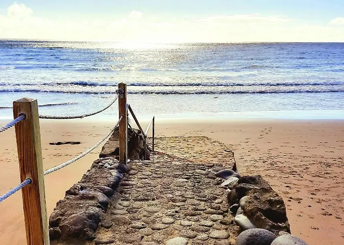 Wild House Las Palmas